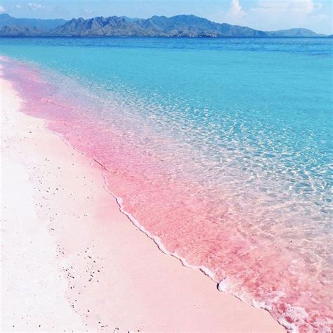Pink Sand Beach In Komodo Islands Indonesia Pink Sand Beach Beach