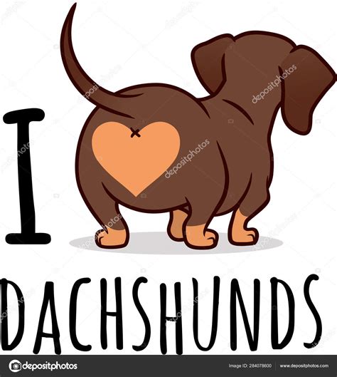 Cute Dachshund Dog Vector Cartoon Illustration Isolated On White Stock
