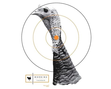 How To Pattern A Turkey Gun Laptrinhx News