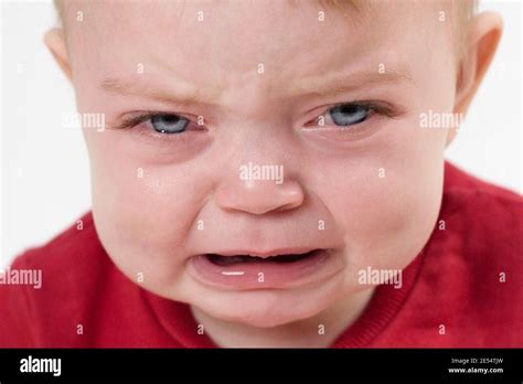 Crying Baby Girl 8 Months Hi Res Stock Photography And Images Alamy