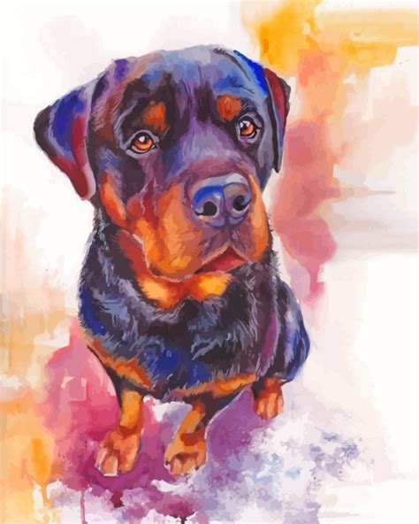 Rottweiler Dog Art Paint By Number Paint By Numbers For Sale