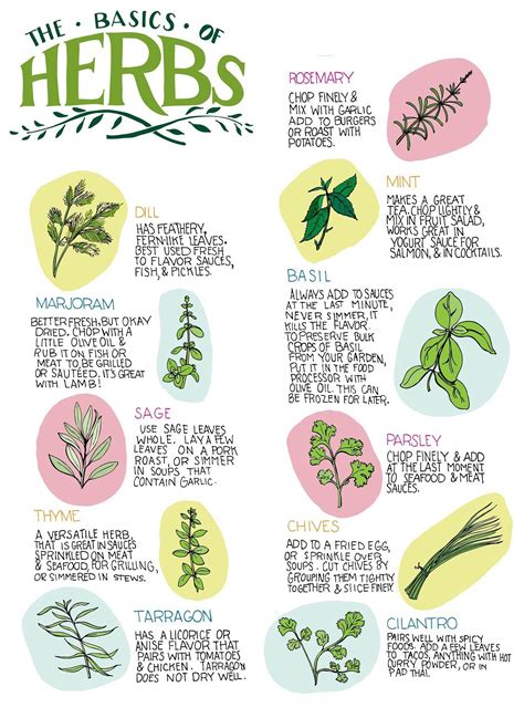 Herb Chart Herbs Magic Herbs Witch Herbs