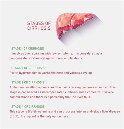 What Are The Final Stages Of Cirrhosis Of The Liver Fatty Liver Disease