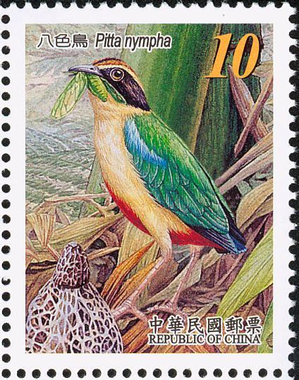 Fairy Pitta Stamps Mainly Images Gallery Format Stamp Collecting