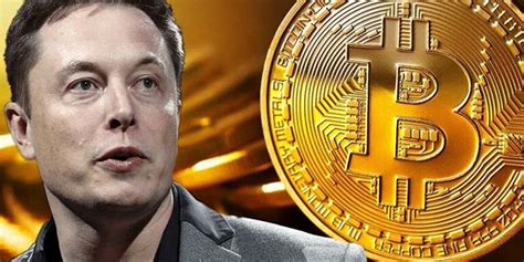 The quantum ai scam software, app, and fraudulent crypto trading platform by elon musk is completely blacklisted. Elon Musk Loses World's Richest Title as Tesla Stocks and ...