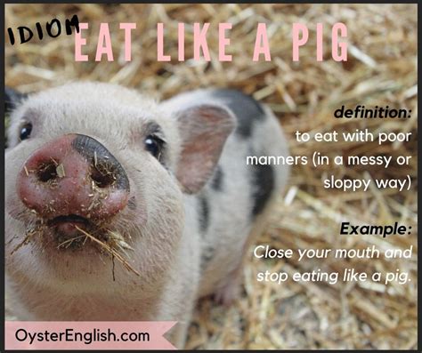 Idiom Eat Like A Pig Meaning And Examples