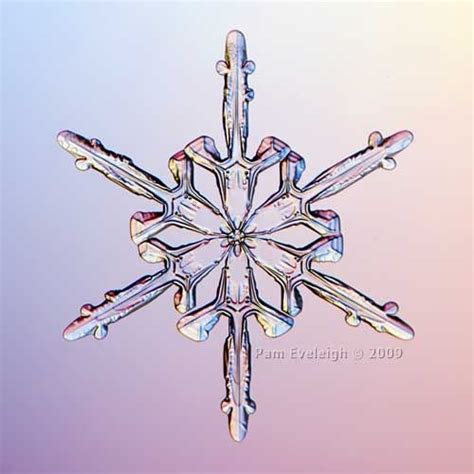 Snowflake Microscopic Bing Images Snowflakes Real Snow Crystal