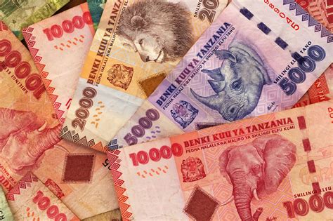 Tanzanian Schilling Euro