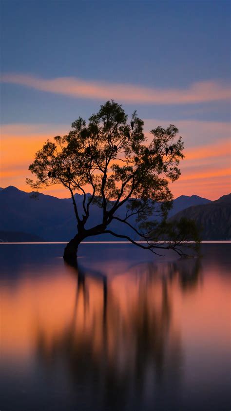 Lonely Tree In Lake Wanaka