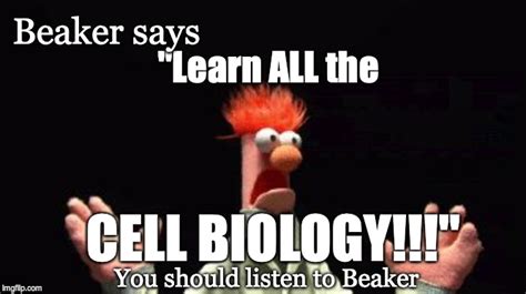 Beaker Science Imgflip