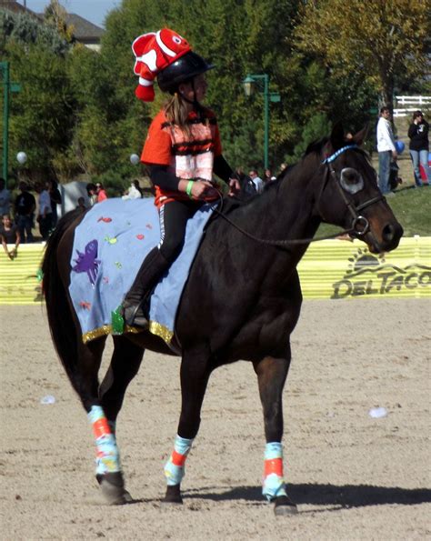 A Collection Of Horse And Rider Costumes Created As A Guide For