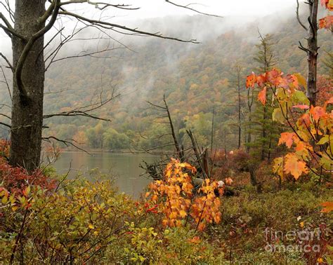 Autumn Mist Photograph By Rod Best Fine Art America