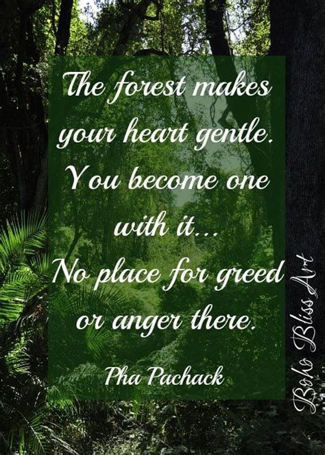 Image 0 Nature Quotes Forest Quotes Nature Quotes Inspirational