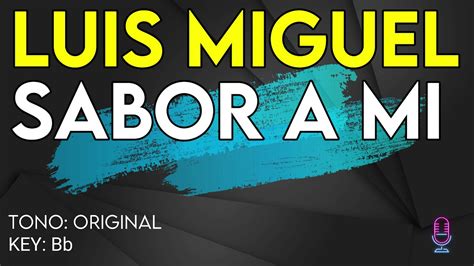 Luis Miguel Sabor A Mi Karaoke Instrumental Youtube