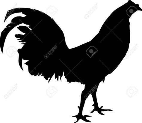 Rooster silhouette, Fighting rooster, Rooster vector