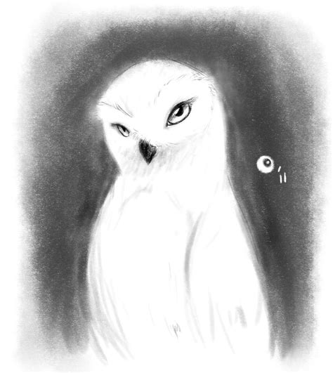Snowy Owl By Dawkz On Deviantart