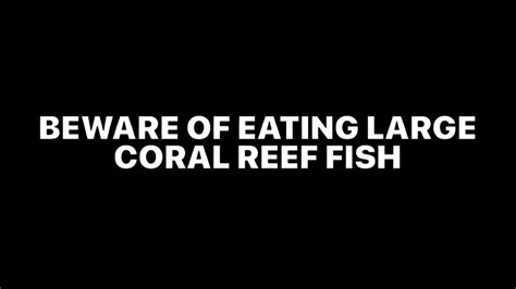 Ciguatera Ciguatera Fish Poisoning Explained In One Minute Youtube