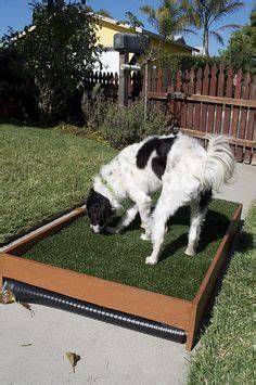 Or maybe you need a designated potty spot in the yard so they don't ruin the grass? DIY Draining Patio Dog Potty - PetDIYs.com | Dog potty area, Dog potty patch