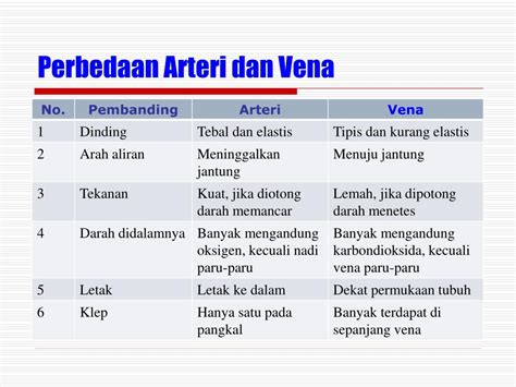 Perbedaan Pembuluh Darah Arteri Vena Dan Kapiler Terkait Perbedaan