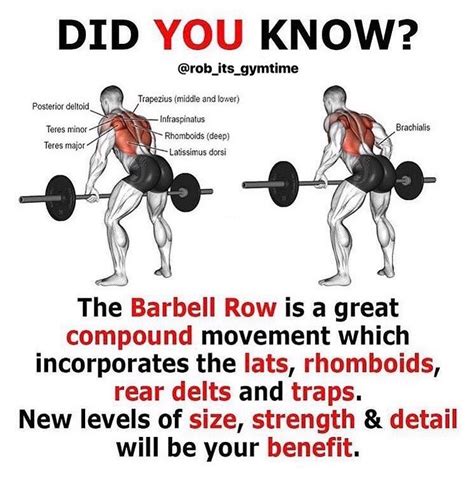 √ Barbell Rows Proper Form