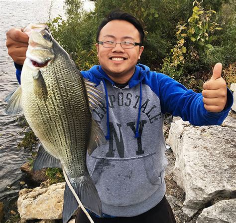St Paul Angler Catches State Record White Bass In Vadnais Lake Twin Cities