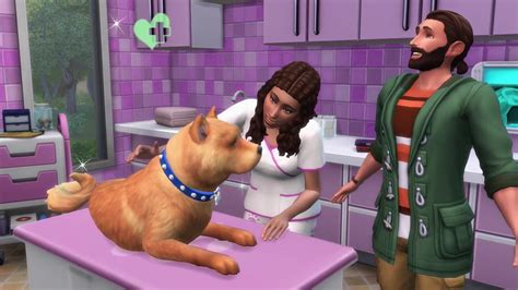 The Sims 4 Cats And Dogs Vet Clinic How To Privacyropotq