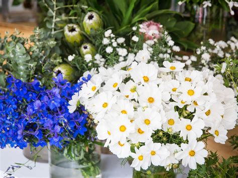 Check spelling or type a new query. The 10 best flower delivery services in Sydney