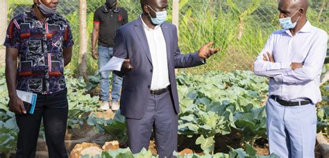 Uganda Inclusive Agricultural Markets