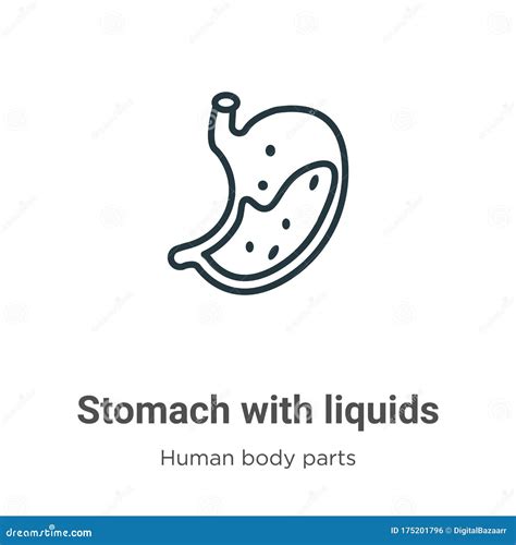 Stomach With Liquids Icon Trendy Flat Vector Stomach With Liquids Icon