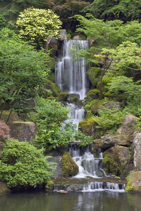Cascading Waterfall In Japanese Garden In Portland Stock Photo Image
