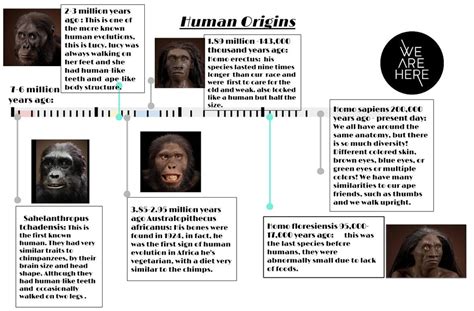 Hall Of Human Origins Timeline Yellow Springs Dc Interactive 2016