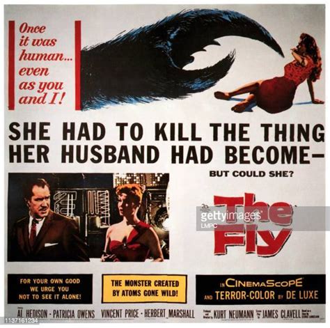 The Fly Vincent Price Photos And Premium High Res Pictures Getty Images