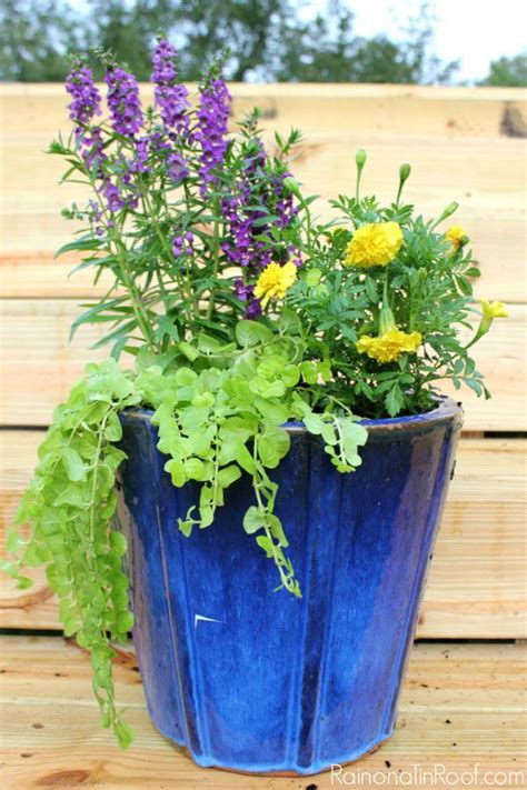 10 Beautiful Container Garden Ideas Life With Lorelai