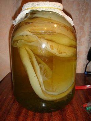 Комбуча, SCOBY, или по нашему, чайный гриб | Пикабу
