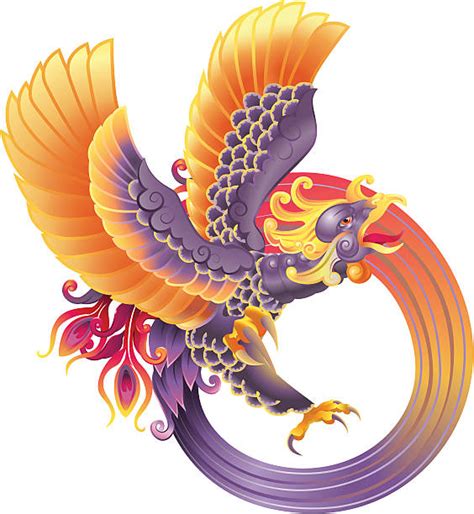 Best Phoenix Bird Rising Illustrations Royalty Free Vector Graphics