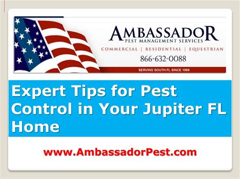 Ppt Pest Control Jupiter Expert Tips Powerpoint Presentation Free