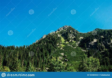 Mountain Lake And Green Forest Picturesque Scenery High Rocks