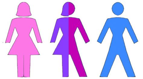 A Brief Explanation Of Non Binary Gender