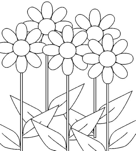 When i grow up coloring page templates. Daisy Coloring Pages - Best Coloring Pages For Kids