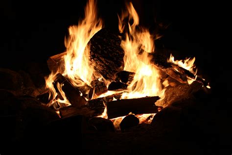 Campfire At Night Free Stock Photo Public Domain Pictures