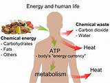 Electrical Energy In Your Body