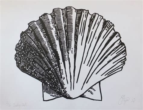 Scallop Shell Lino Print Print Run Of 16 Linocut By Susannah Ayre