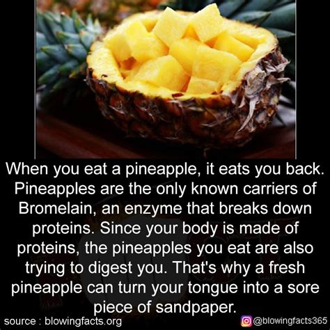 Facts That Will Blow Your Mind When You Eat A Pineapple It Eats You