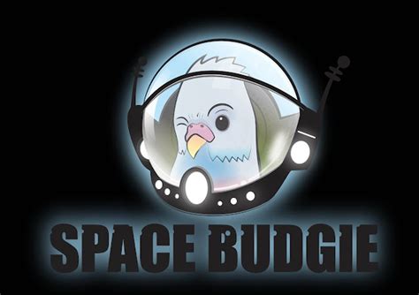 Here Is Space Budgie Sgtmus