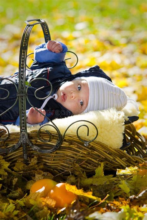 Baby Boy In The Basket Stock Photo Image Of Seasons 16779972