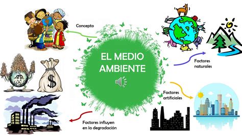 Descubre cómo el cuadro sinóptico del medio ambiente puede simplificar tu comprensión