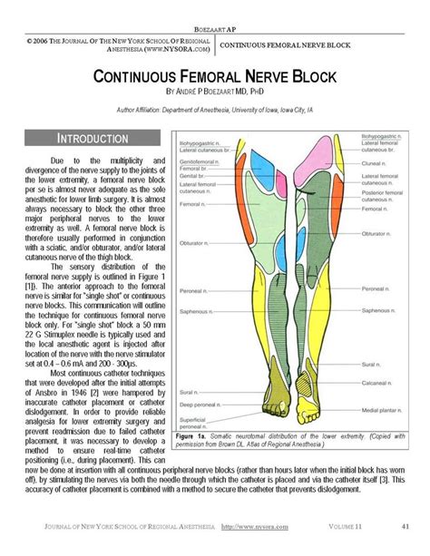 Femoral Nerve Block Femoral Nerve Medical Knowledge Medical