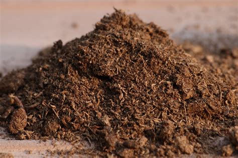 Sphagnum Peat Moss for Gardening (1 Quart)- Buy Online in Saudi Arabia