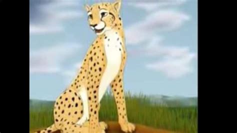 Cheetahs Wiki Anime Amino
