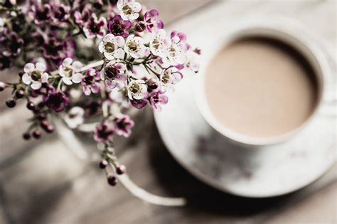 Spring Coffee Wallpapers Top Free Spring Coffee Backgrounds